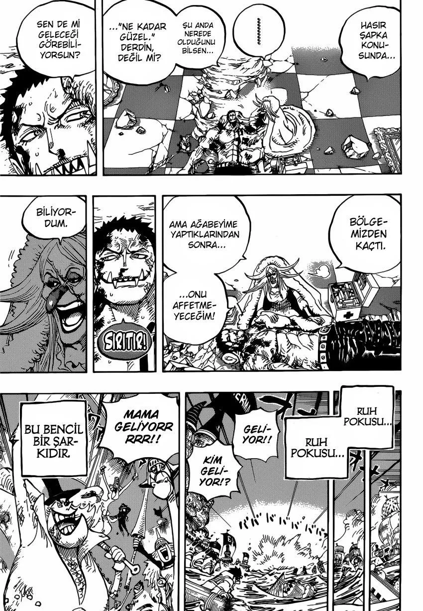 One Piece - Sayfa 15