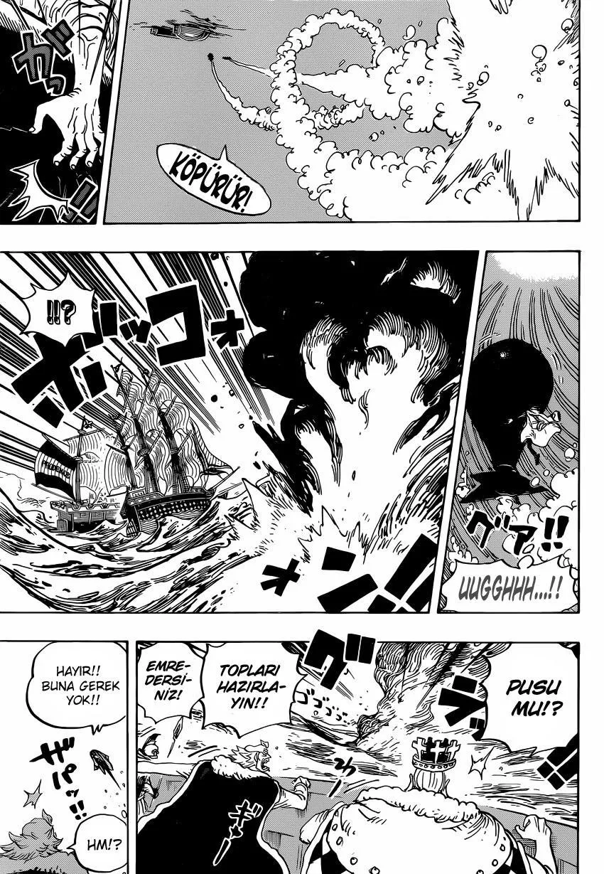 One Piece - Sayfa 12