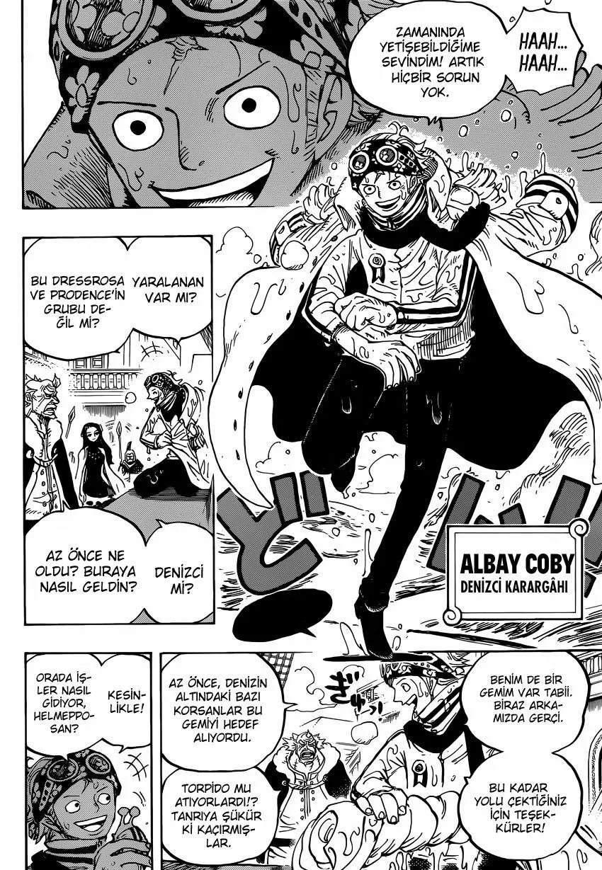 One Piece - Sayfa 13