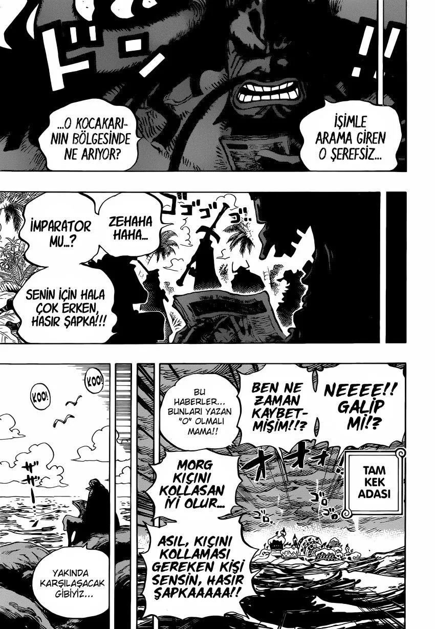 One Piece - Sayfa 16