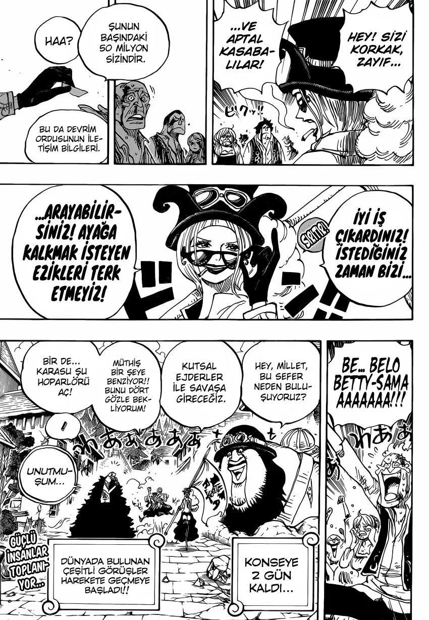 One Piece - Sayfa 14