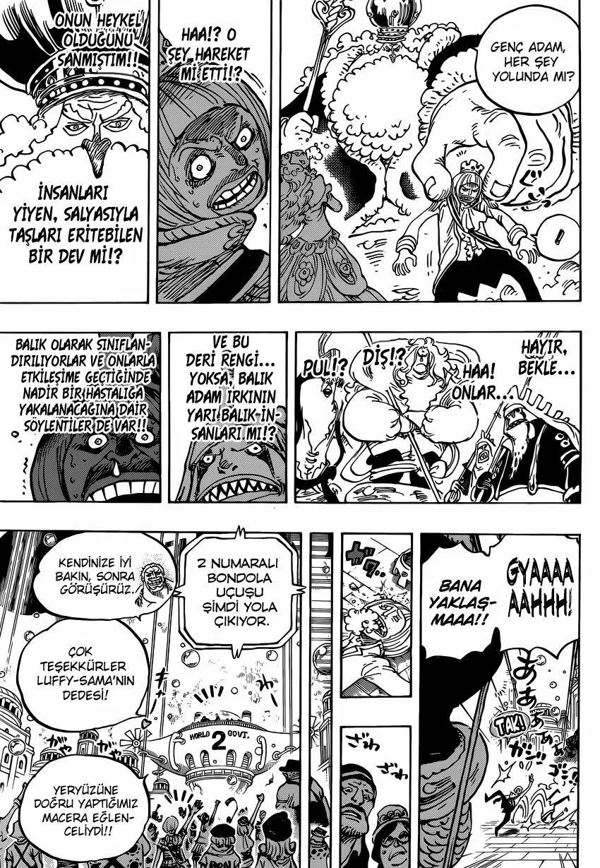 One Piece - Sayfa 11