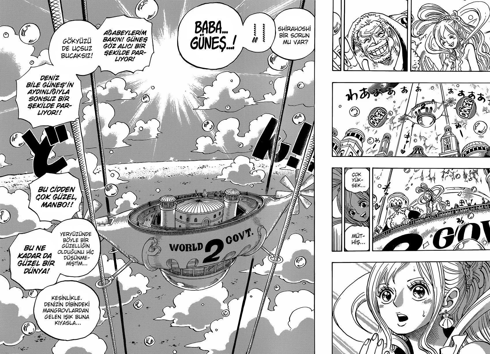 One Piece - Sayfa 12