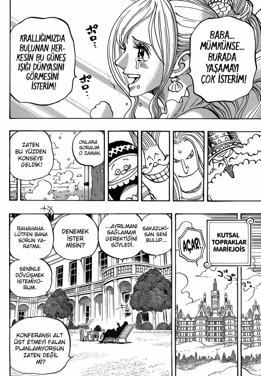 One Piece - Sayfa 13