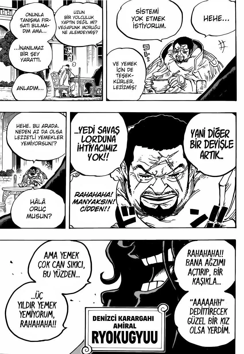 One Piece - Sayfa 14