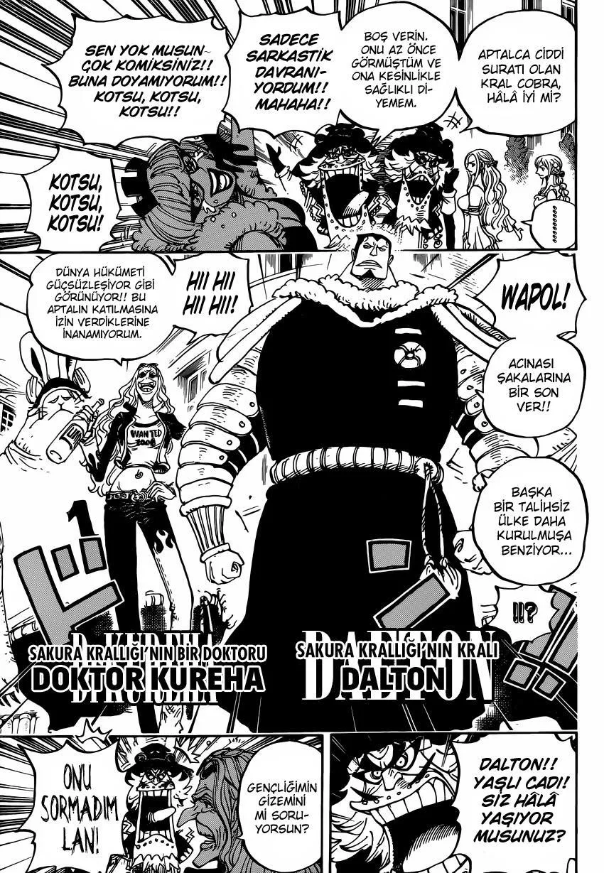 One Piece - Sayfa 14