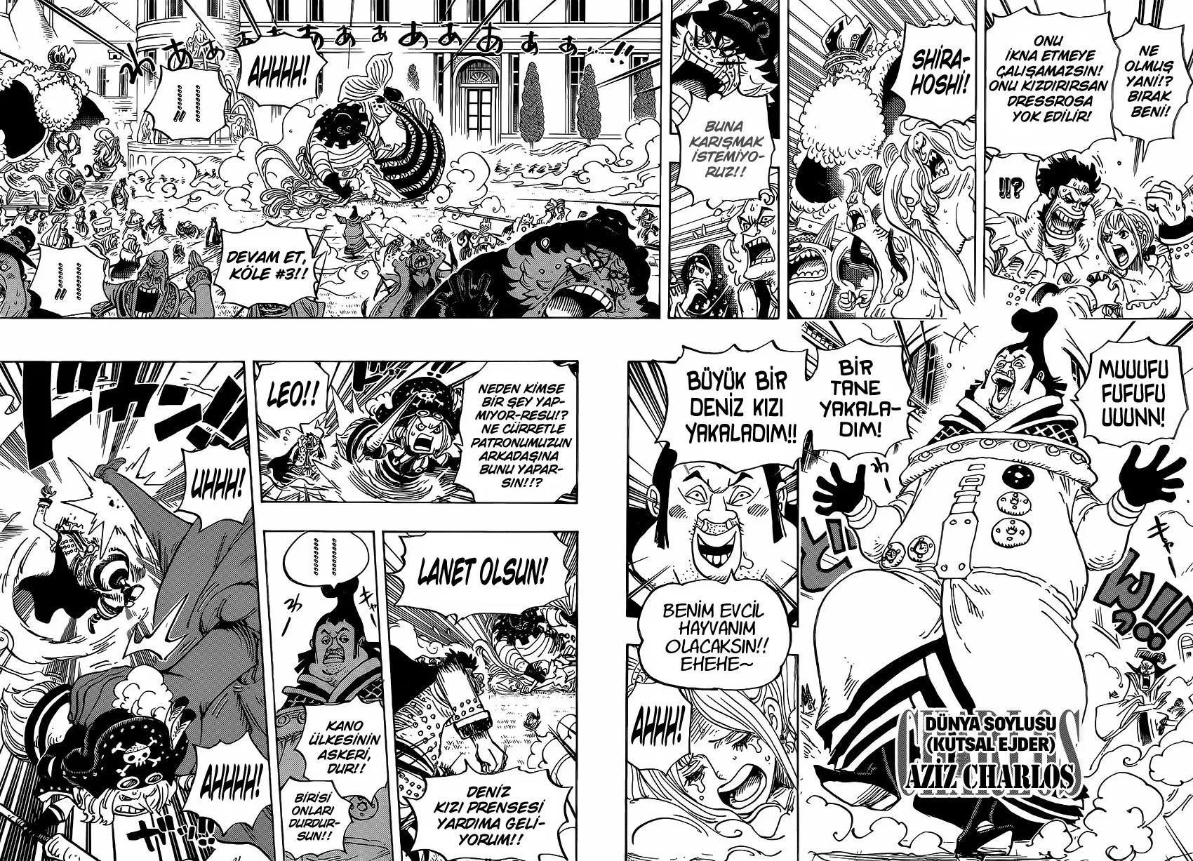 One Piece - Sayfa 11