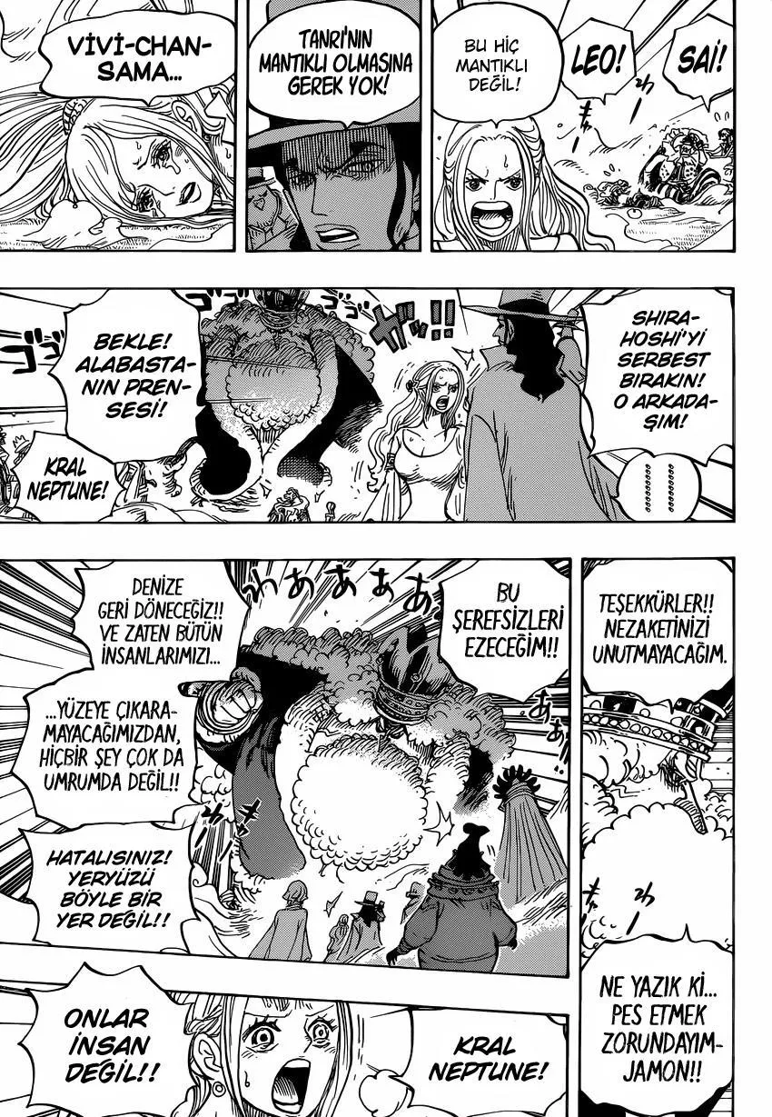 One Piece - Sayfa 13