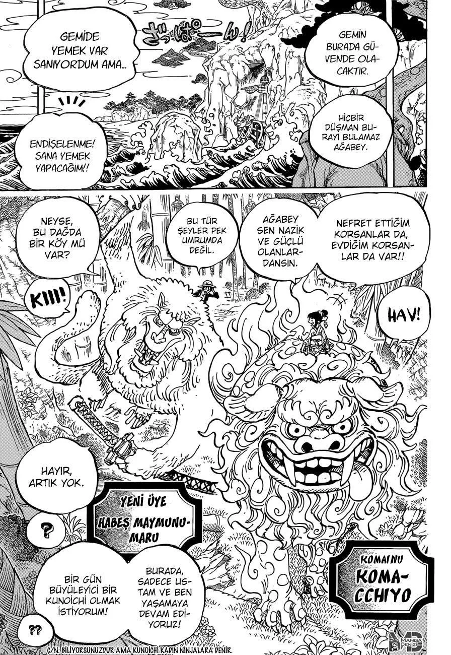 One Piece - Sayfa 12