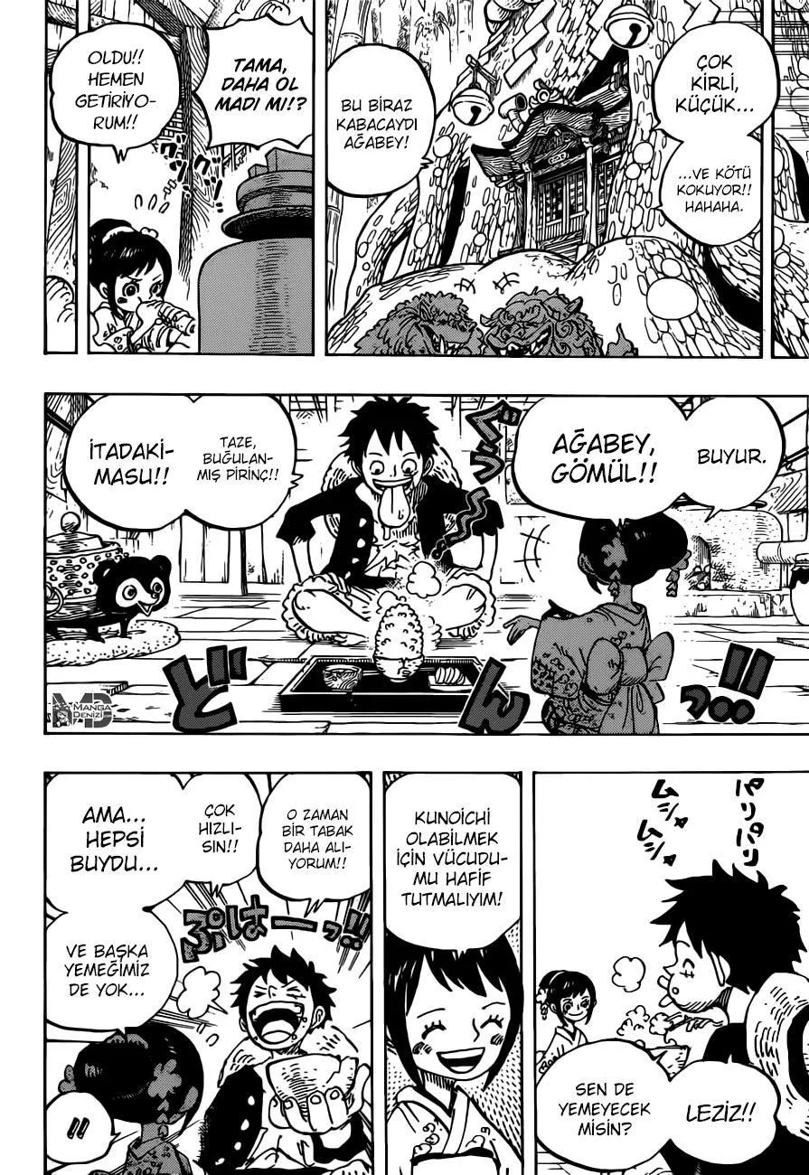 One Piece - Sayfa 13