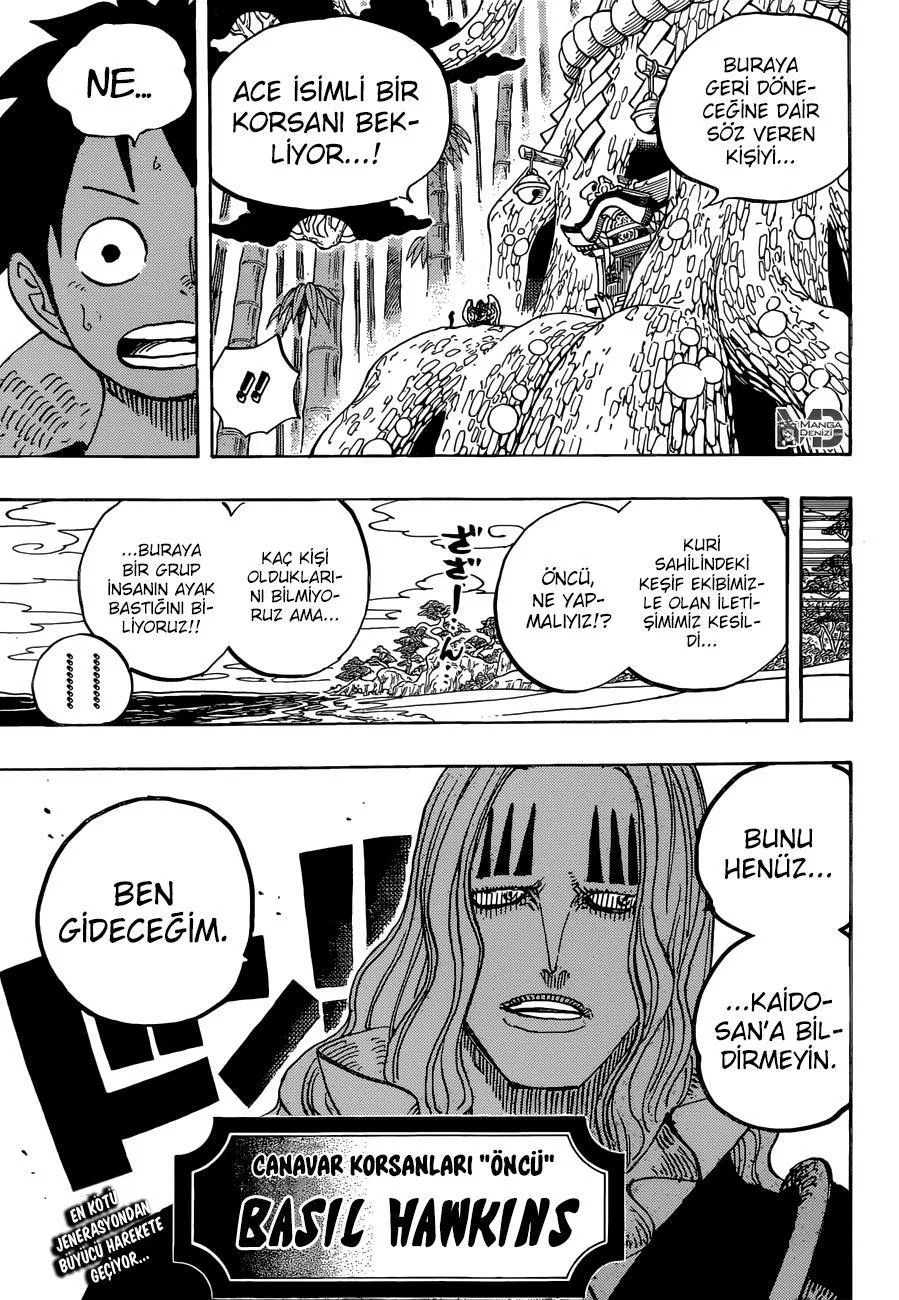 One Piece - Sayfa 17
