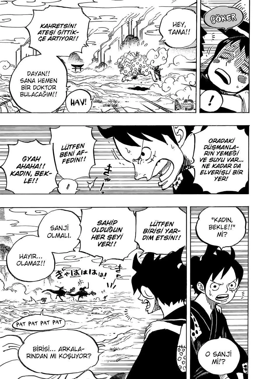 One Piece - Sayfa 14