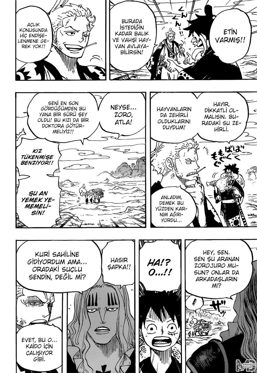 One Piece - Sayfa 17