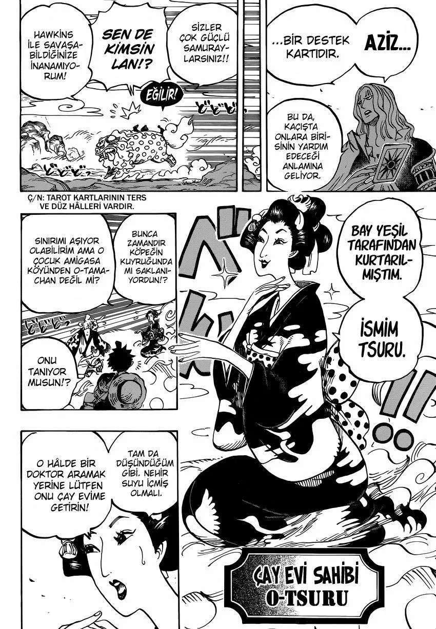 One Piece - Sayfa 12