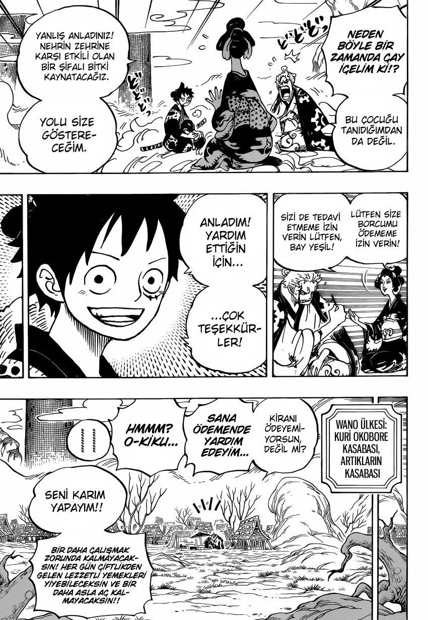 One Piece - Sayfa 13