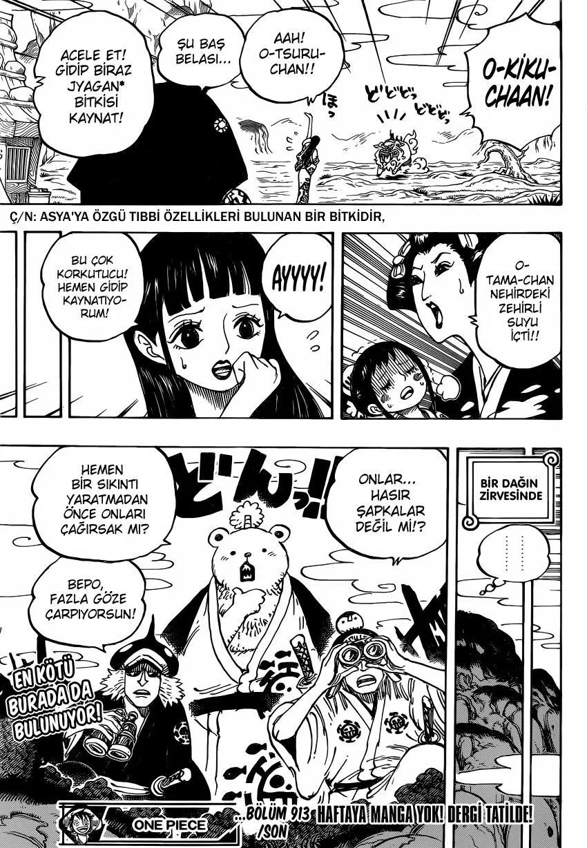 One Piece - Sayfa 15
