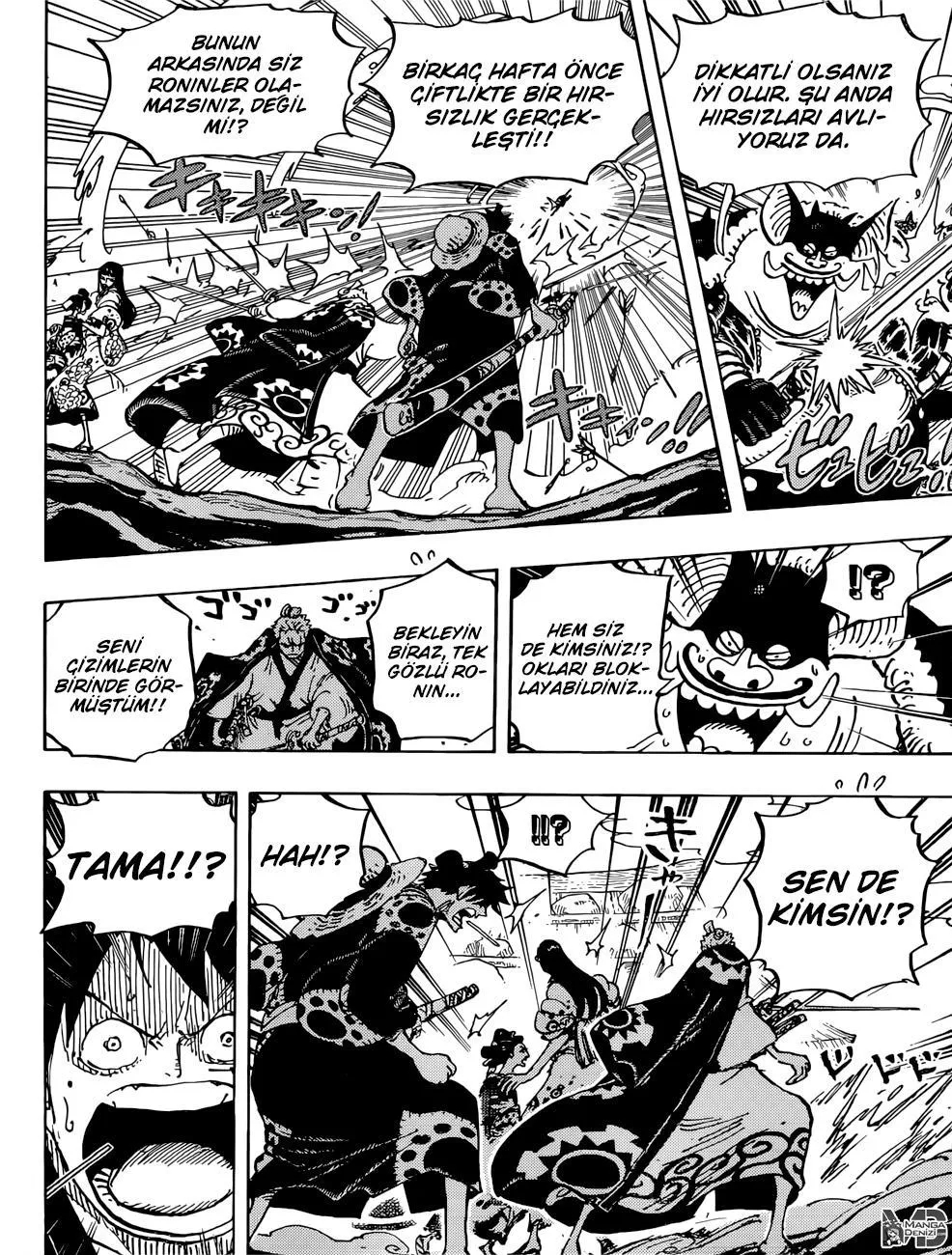 One Piece - Sayfa 13