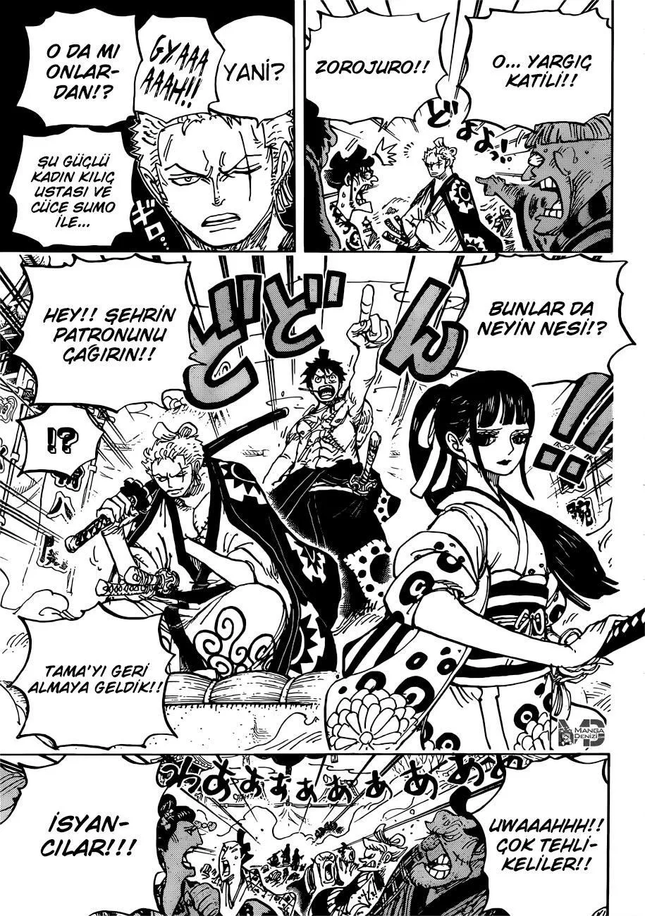 One Piece - Sayfa 13