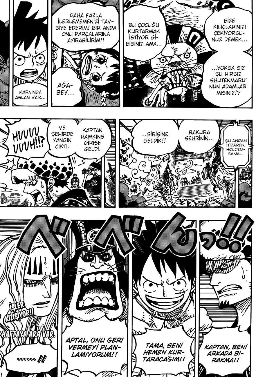 One Piece - Sayfa 17