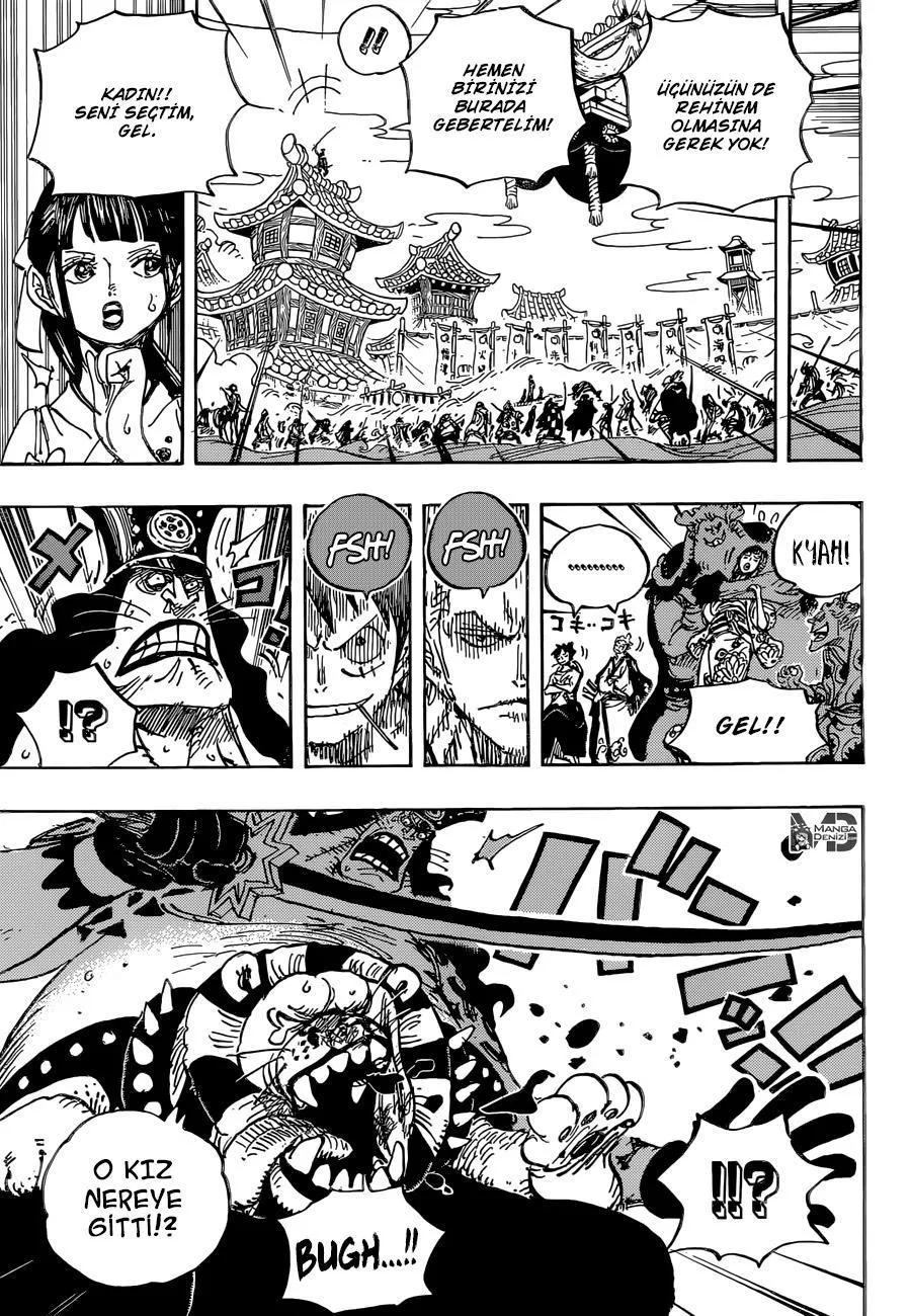 One Piece - Sayfa 13
