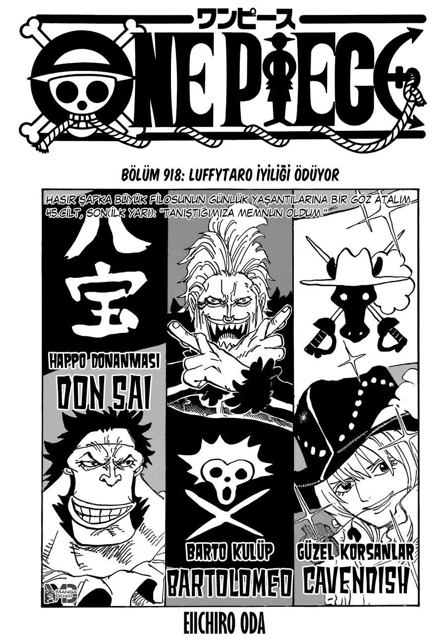 One Piece mangasının 0918 bölümünün 2. sayfasını okuyorsunuz.