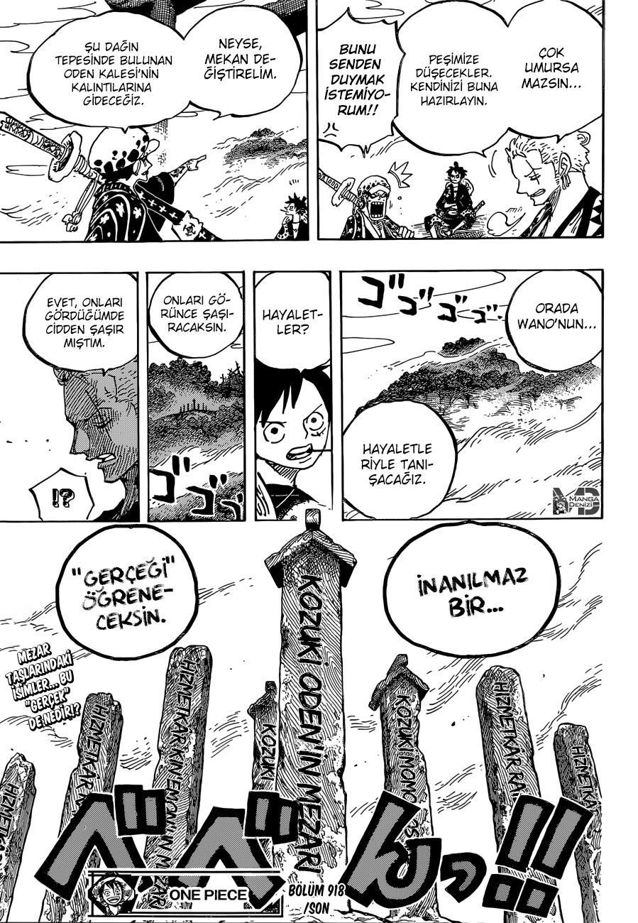 One Piece mangasının 0918 bölümünün 17. sayfasını okuyorsunuz.