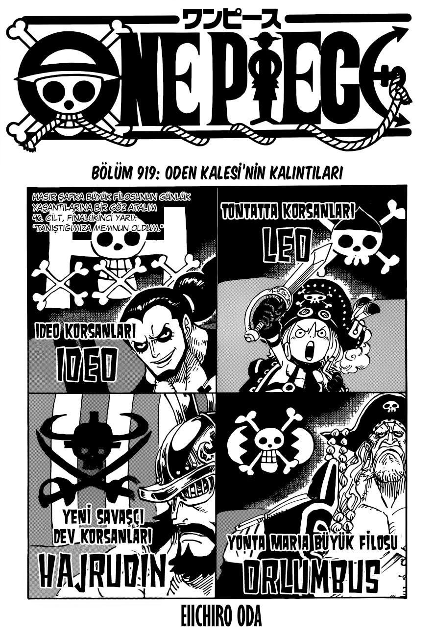 One Piece mangasının 0919 bölümünün 2. sayfasını okuyorsunuz.