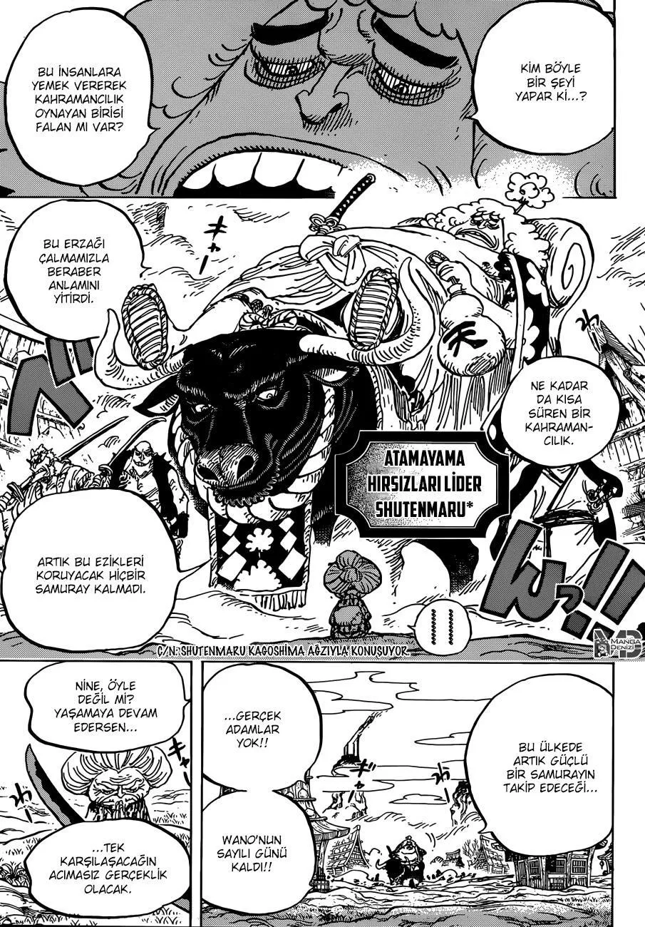 One Piece - Sayfa 11