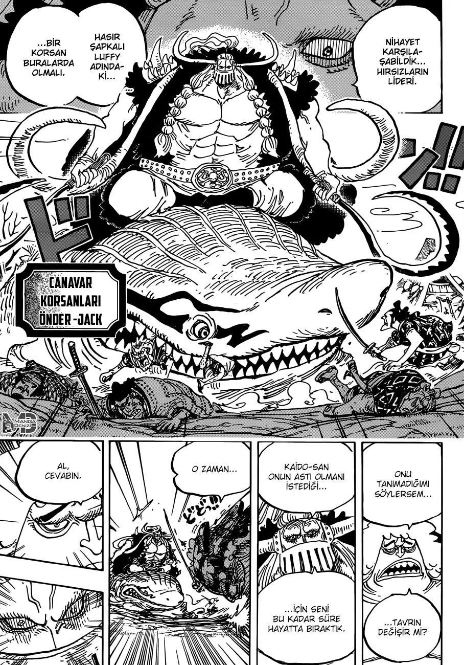 One Piece - Sayfa 13