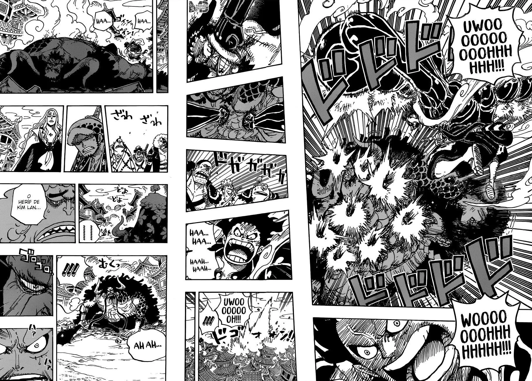 One Piece - Sayfa 13
