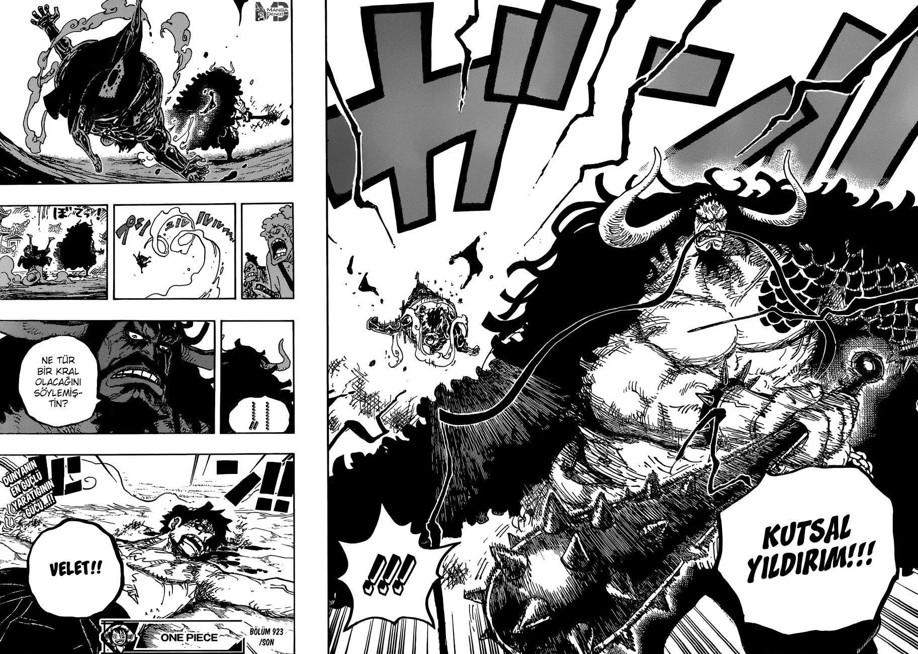 One Piece - Sayfa 14