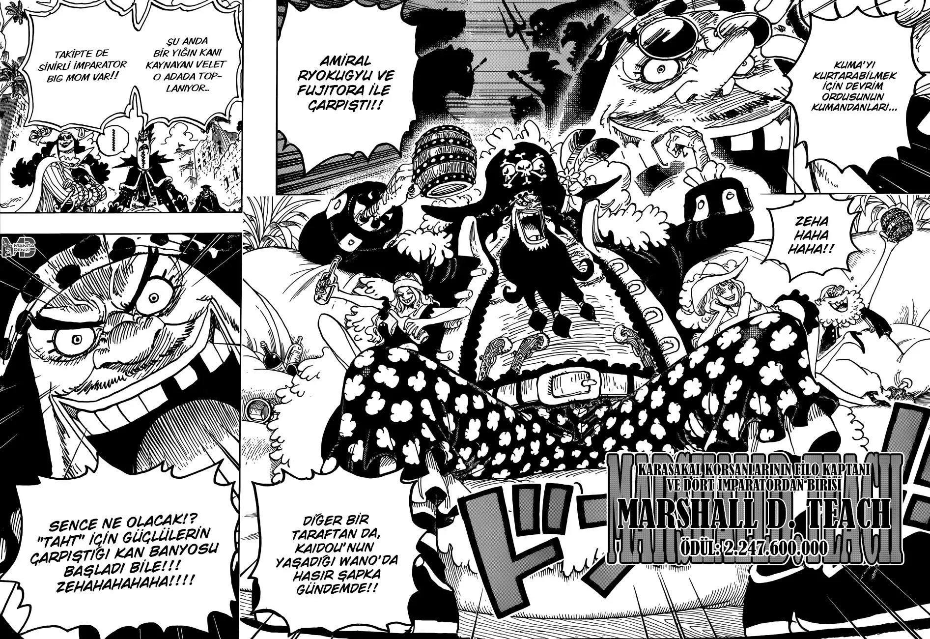 One Piece - Sayfa 11