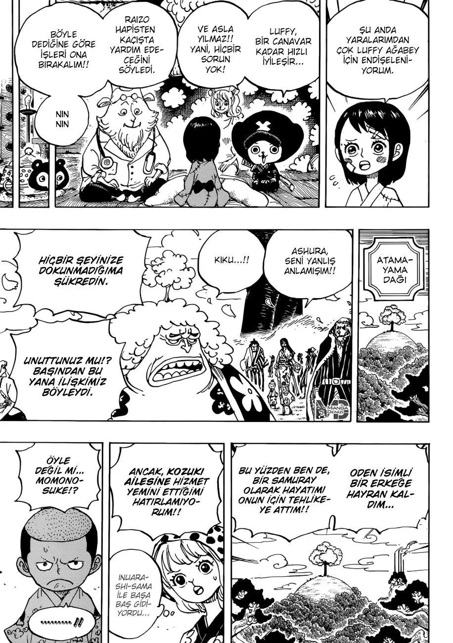 One Piece - Sayfa 15