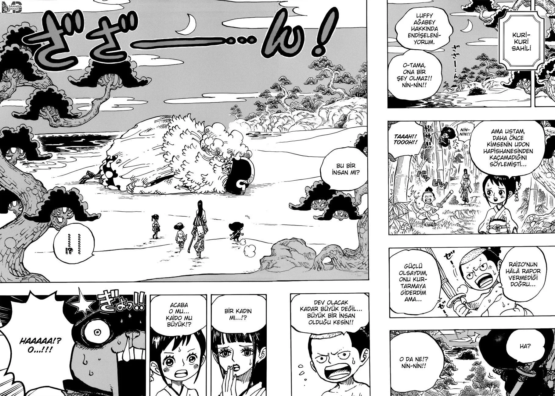 One Piece - Sayfa 14