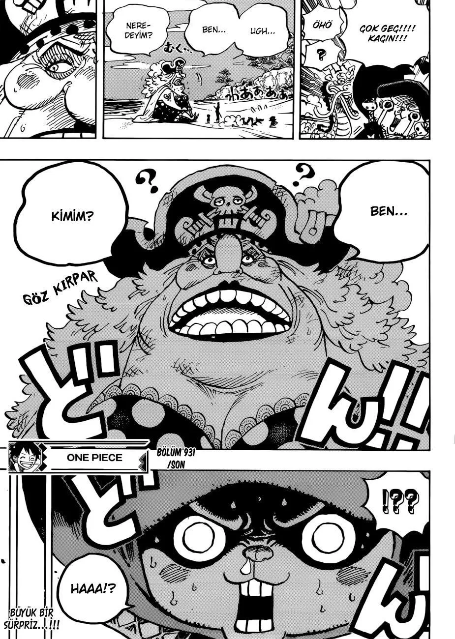 One Piece - Sayfa 16
