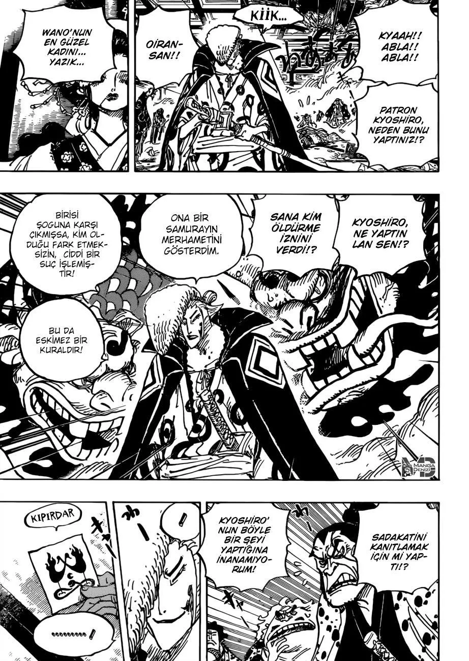 One Piece - Sayfa 14