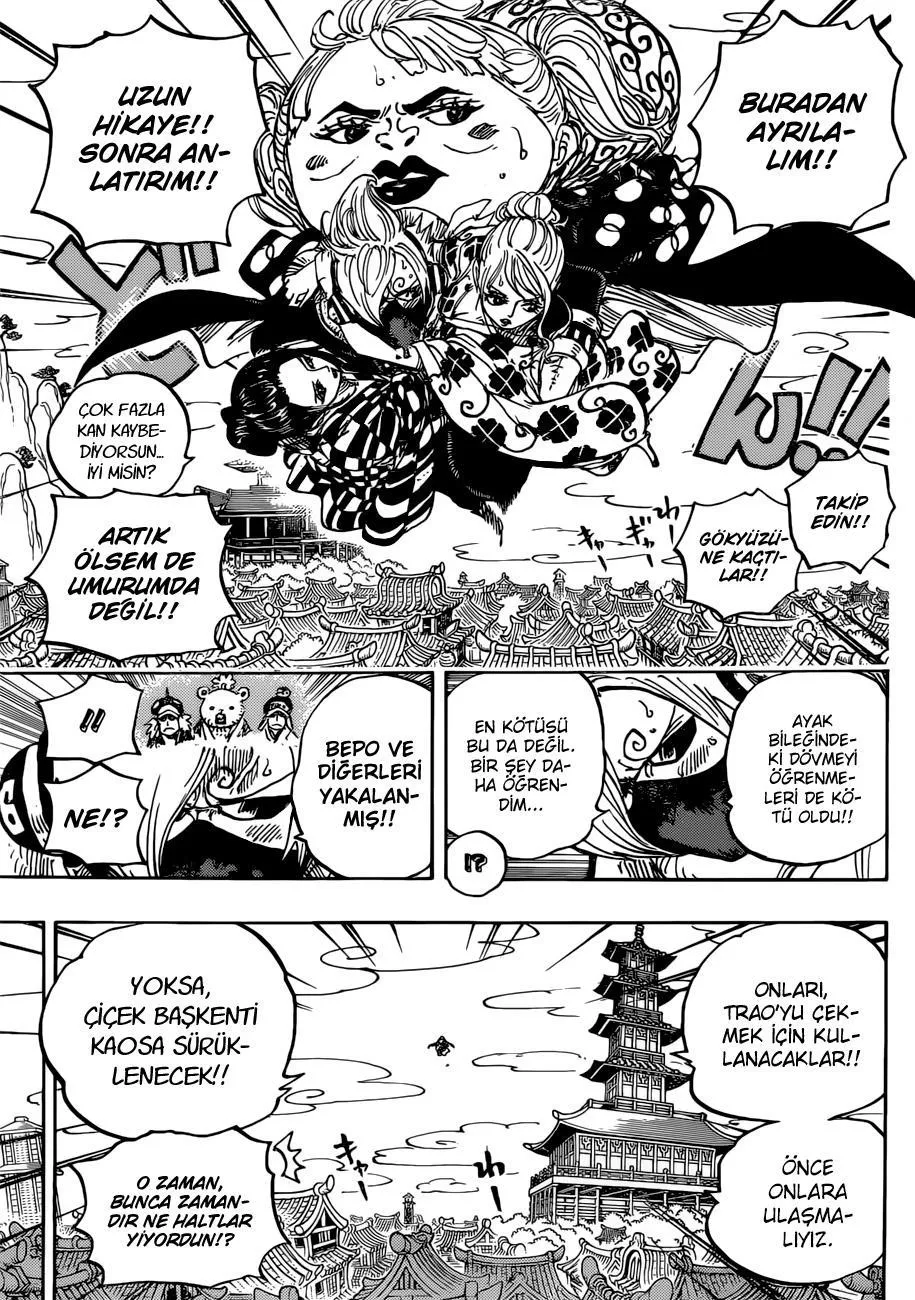 One Piece - Sayfa 16