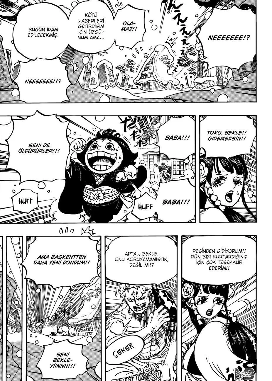 One Piece - Sayfa 13