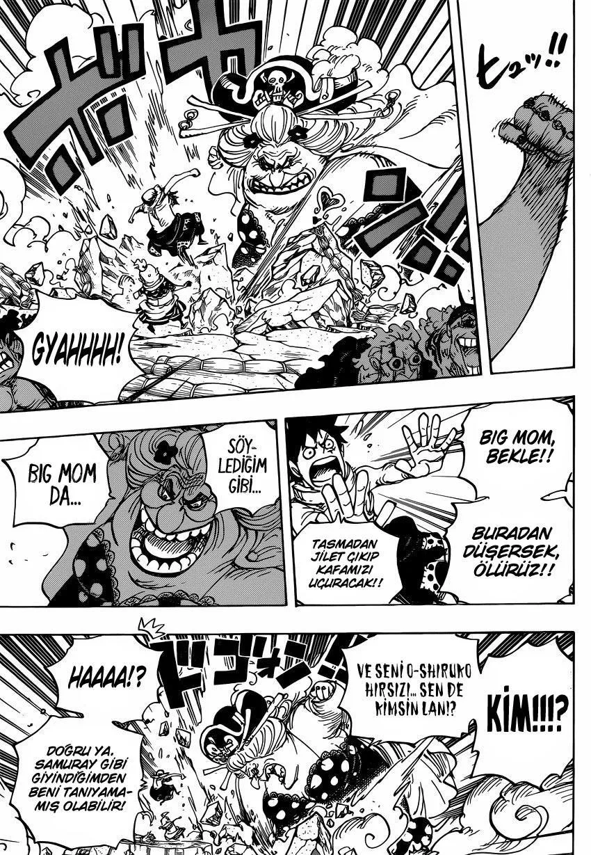 One Piece - Sayfa 12