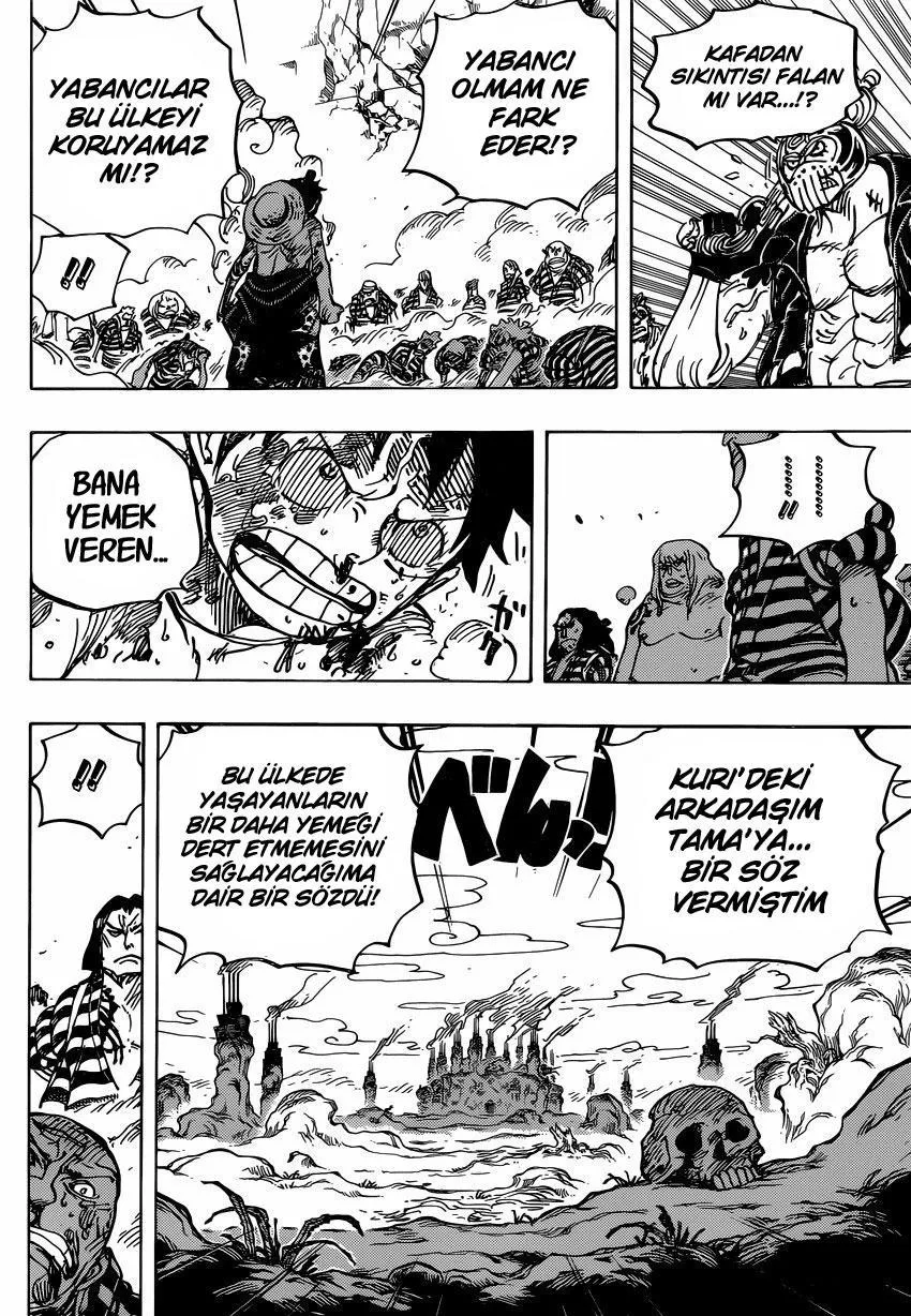One Piece - Sayfa 13