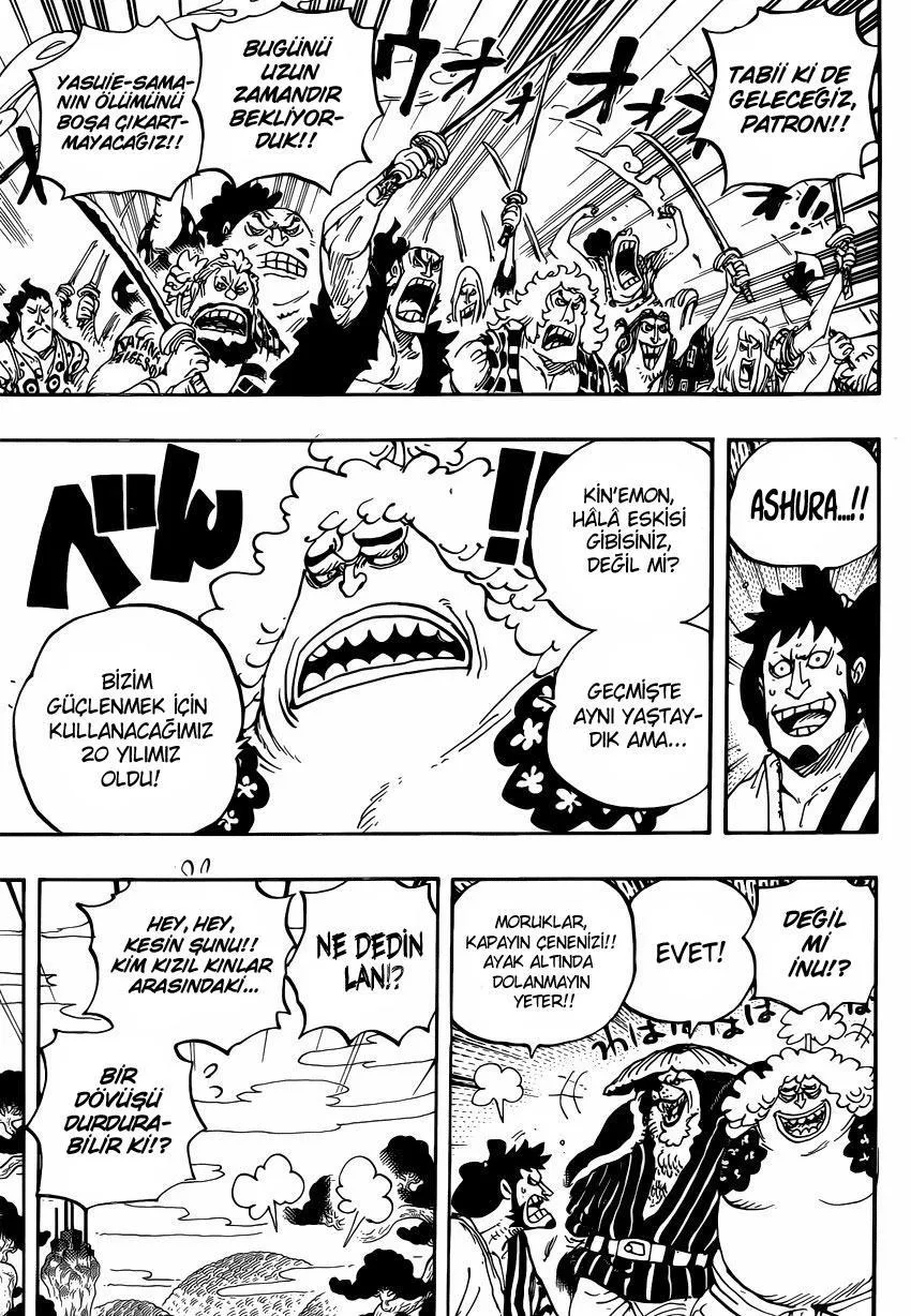 One Piece - Sayfa 12