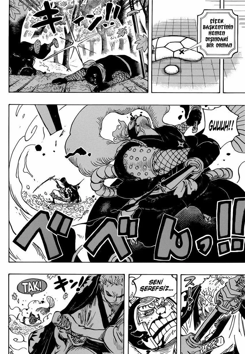 One Piece - Sayfa 13