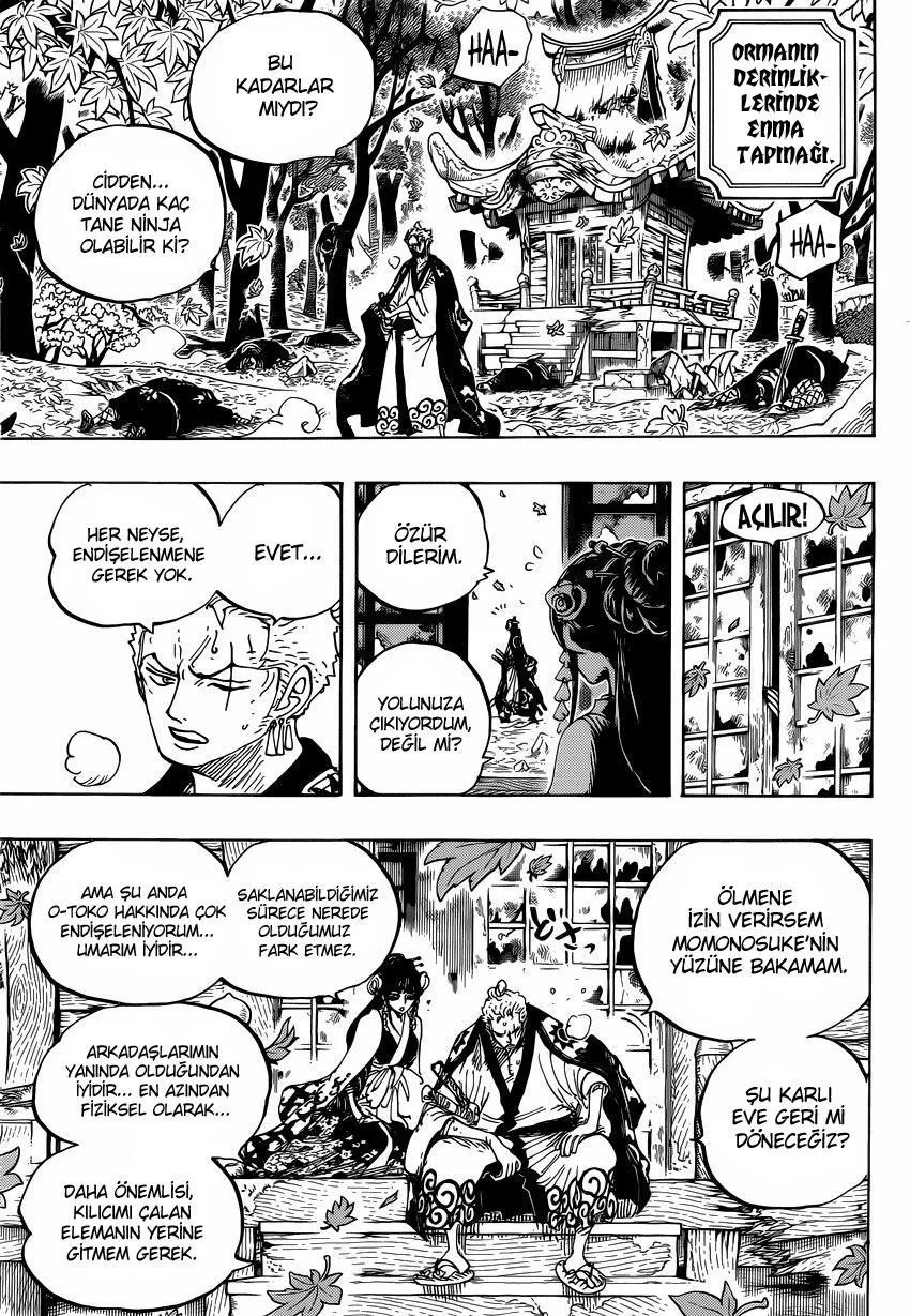 One Piece - Sayfa 14