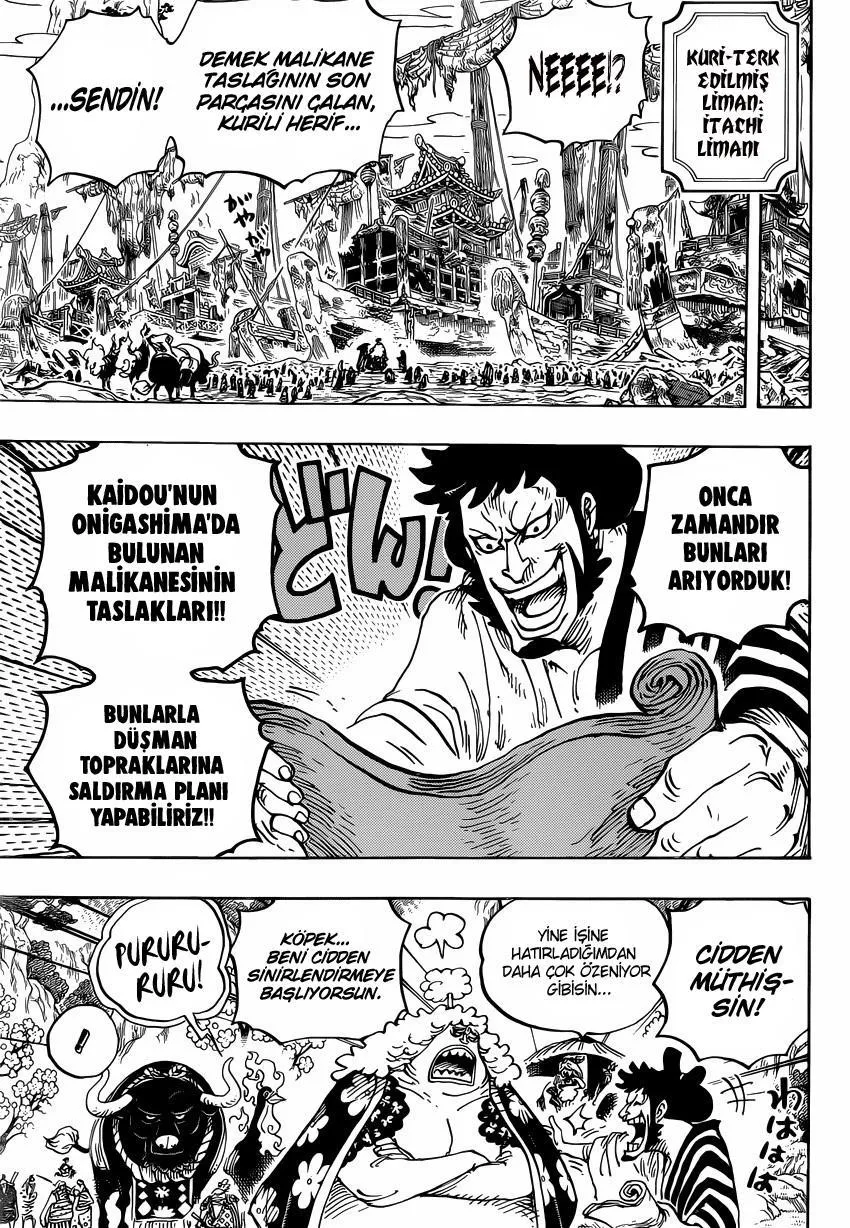 One Piece - Sayfa 12