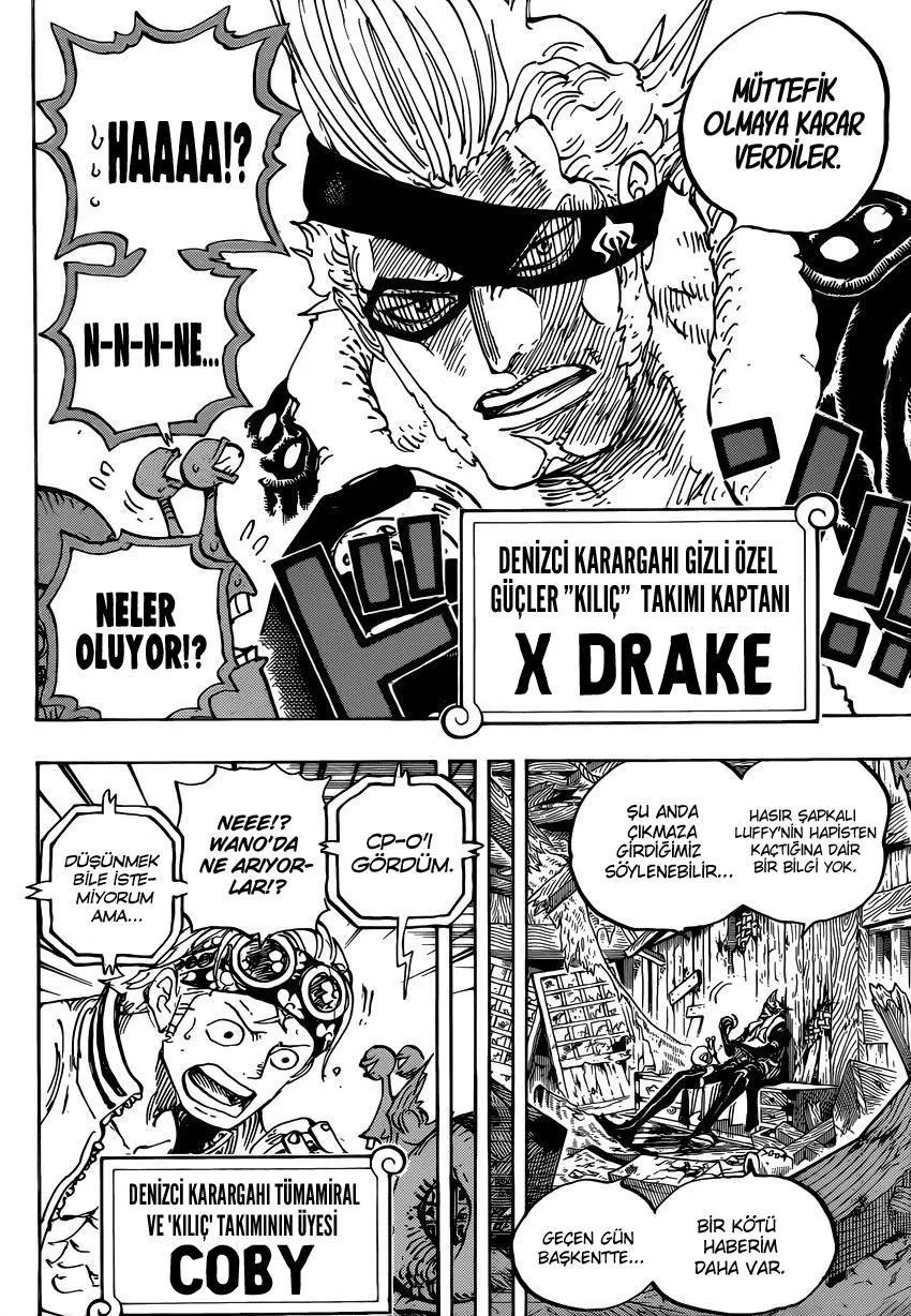 One Piece - Sayfa 13