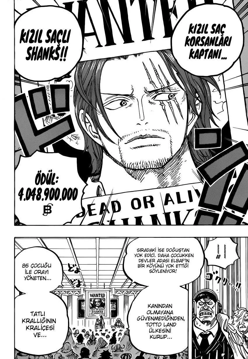 One Piece - Sayfa 14