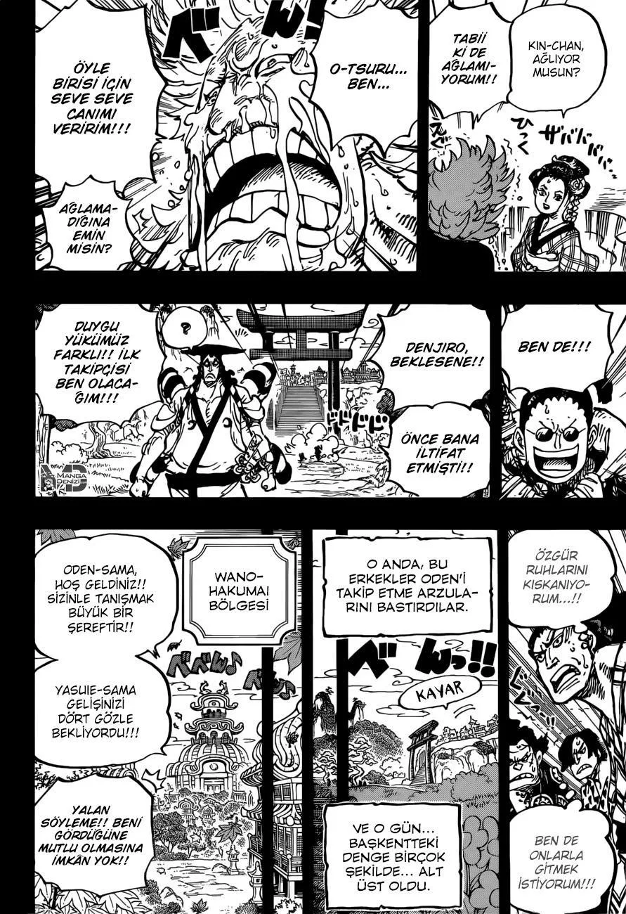 One Piece - Sayfa 15