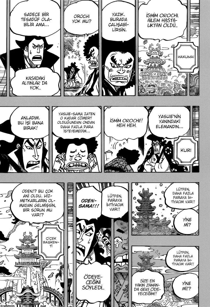 One Piece - Sayfa 14
