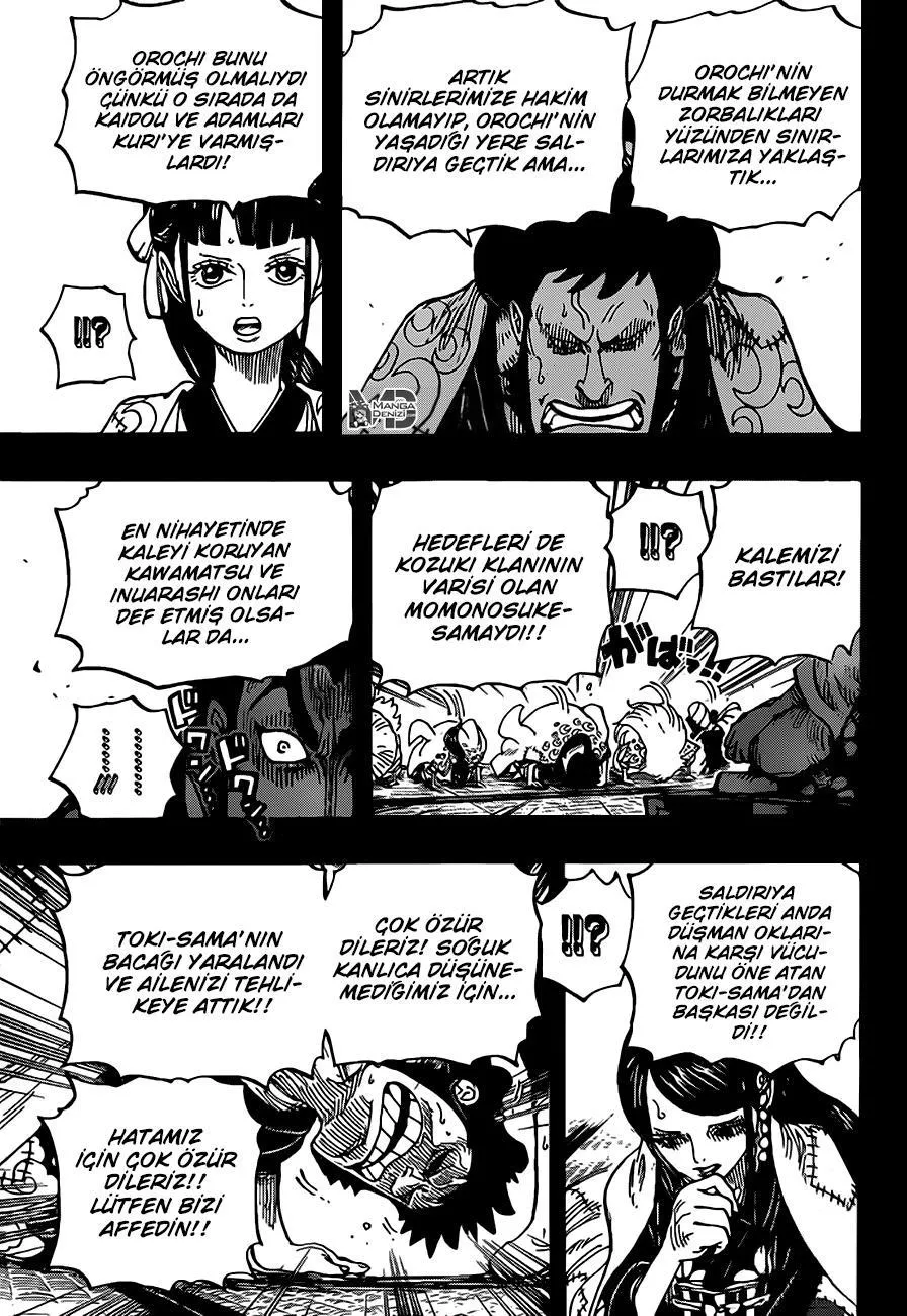 One Piece - Sayfa 14