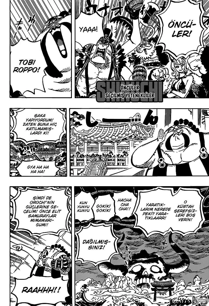 One Piece - Sayfa 13
